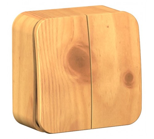 Blanca Ясень О/У Выключатель 2-клавишный , 10А, 250B  BLNVA105005  SE