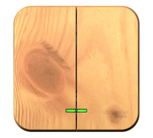 Blanca Ясень О/У Выключатель 2-клавишный , 10А, 250B  BLNVA105005  SE