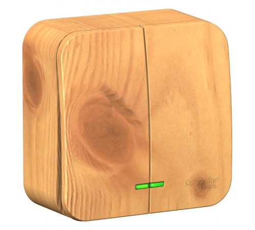 Blanca Ясень О/У Выключатель 2-клавишный , 10А, 250B  BLNVA105005  SE