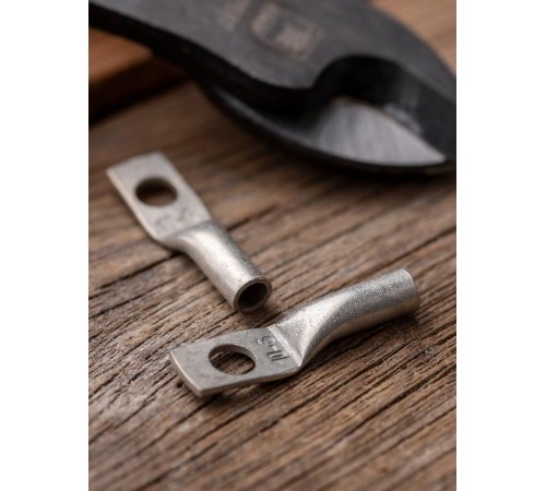 Наконечник медный луженый ТМЛ DIN 10-6 PROxima  tml-din-10-6  EKF