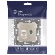 14-3110-04 Розетка RJ45+TV, IP20, шампань  Б0034317  ЭРА