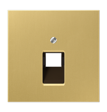 Крышка для одинарных телефонных и компьютерных розеток (UAE), фиксация винтом; металл; латунь classic; Messing  ME2969-1UAC  Jung