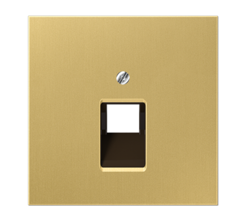 Крышка для одинарных телефонных и компьютерных розеток (UAE), фиксация винтом; металл; латунь classic; Messing  ME2969-1UAC  Jung