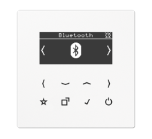 Цифровое радио DAB + с поддержкой Bluetooth DABLSBTWW Jung