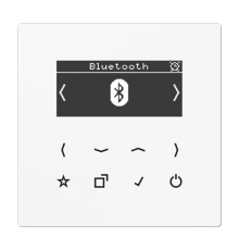 Цифровое радио DAB + с поддержкой Bluetooth DABLSBTWW Jung