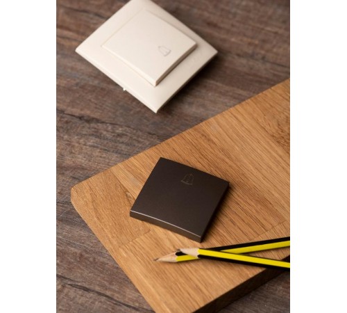 Валенсия лицевая панель кнопки звонка 10А графит EKF PROxima   ESV10-L-026-60   EKF