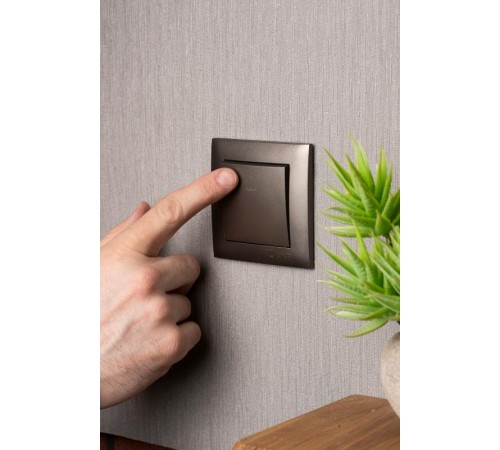 Валенсия лицевая панель кнопки звонка 10А графит EKF PROxima   ESV10-L-026-60   EKF