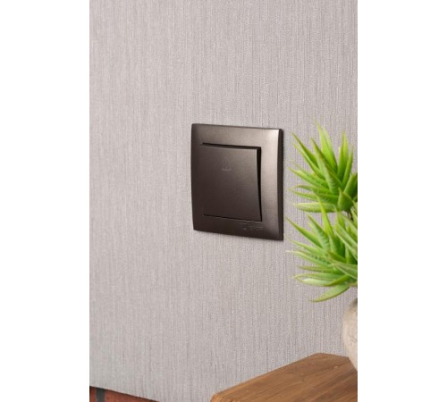 Валенсия лицевая панель кнопки звонка 10А графит EKF PROxima   ESV10-L-026-60   EKF