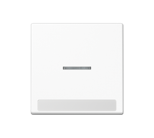 Клавиша с полем для надписи A590BFNAKO5WW Jung