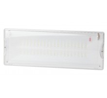 Светильник аварийного освещения непостоянный светодиодный DPA-301-0-65 40LED 3ч IP65 NiCD  Б0044405  ЭРА