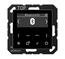 Цифровое радио DAB + с поддержкой Bluetooth DABABTSW Jung