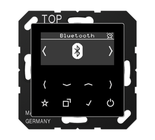 Цифровое радио DAB + с поддержкой Bluetooth DABABTSW Jung