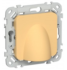 FLITE Вывод кабеля КВ-ФлЗ золотарник  FI-VK10-0-K90  IEK