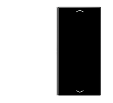 Клавиша для сенсорного модуля KNX, двойная, черная  LS402TSAPSW  Jung