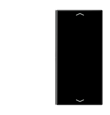 Клавиша для сенсорного модуля KNX, двойная, черная  LS402TSAPSW  Jung