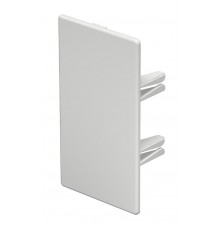 Торцевая заглушка кабельного канала WDKH 60x110 мм (ABS-пластик,белый) (WDKH-E60110RW)  6175566  OBO Bettermann