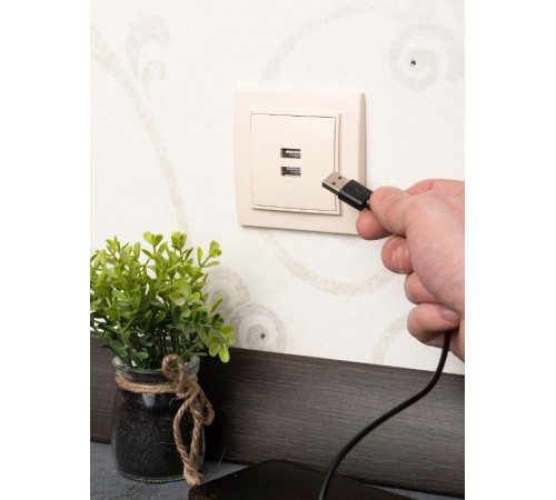 Минск Розетка USB 2-местная СП 2,1А  бежевая    ERR-2USB-200  EKF