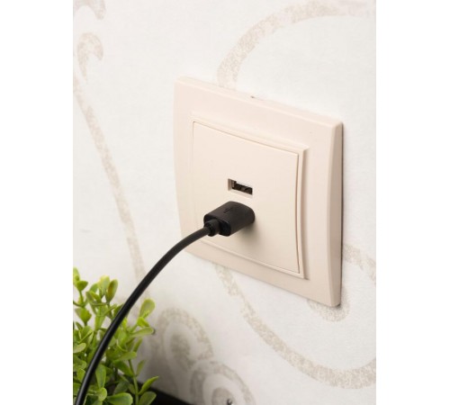 Минск Розетка USB 2-местная СП 2,1А  бежевая    ERR-2USB-200  EKF