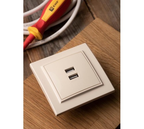 Минск Розетка USB 2-местная СП 2,1А  бежевая    ERR-2USB-200  EKF