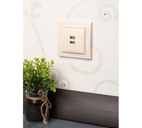 Минск Розетка USB 2-местная СП 2,1А  бежевая    ERR-2USB-200  EKF