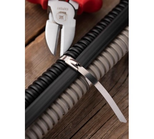 Хомут AISI 304 из нержавеющей стали, 4.6x200 (100 шт.) FlexLock PROximaplc-fl-tss-304-4.6x200EKF