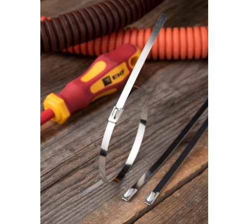 Хомут AISI 304 из нержавеющей стали, 4.6x200 (100 шт.) FlexLock PROximaplc-fl-tss-304-4.6x200EKF