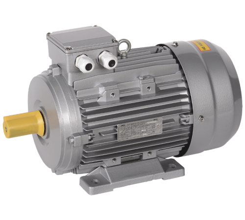 Электродвигатель 3ф.АИС 100L8 380В 0,75кВт 750об/мин 1081 (лапы) DRIVE  AIS100-L8-000-8-0710  IEK