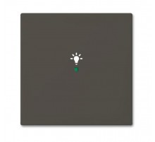 SRL-1-95 Клавиша одинарная free@home, освещение, Basic 55, цвет chateau-black  6220-0-0687   2CKA006220A0687  ABB