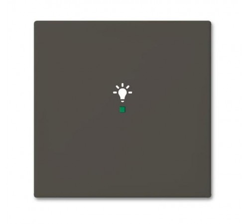 SRL-1-95 Клавиша одинарная free@home, освещение, Basic 55, цвет chateau-black  6220-0-0687   2CKA006220A0687  ABB