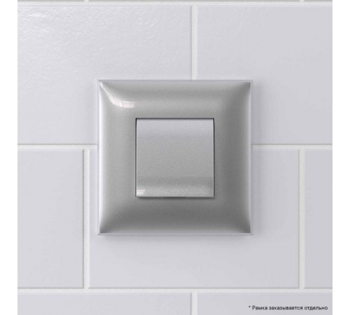 Вывод кабеля из стены "Avanti", "Закаленная сталь"  4404983  DKC