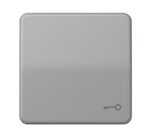 Клавиша с символом "ключ"; серая  CD590TGR  Jung