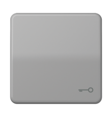 Клавиша с символом "ключ"; серая  CD590TGR  Jung