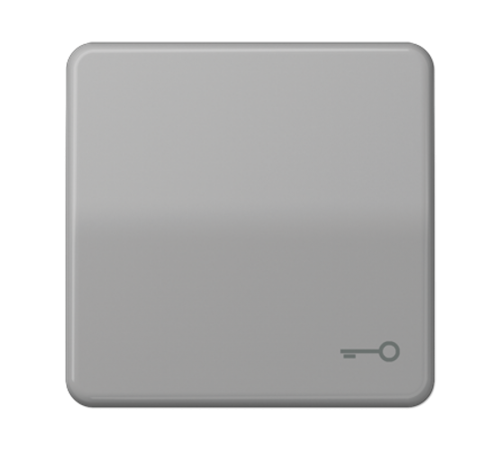 Клавиша с символом "ключ"; серая  CD590TGR  Jung