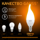 Лампа светодиодная Gauss LED Свеча на ветру E14 9.5W 890lm 3000K  104101110  Gauss