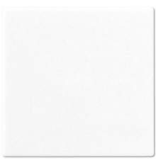 Глухая центральная плата CD594-0PLWW Jung