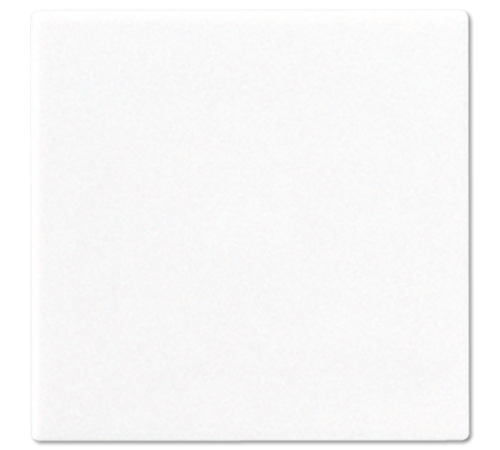 Глухая центральная плата CD594-0PLWW Jung