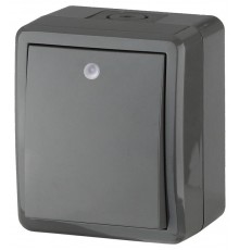 Выключатель с подсветкой IP54, 10АХ-250В, 11-1402-03, ОУ, Эксперт, Серый (16) Б0020672  ЭРА