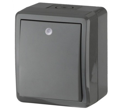 Выключатель с подсветкой IP54, 10АХ-250В, 11-1402-03, ОУ, Эксперт, Серый (16) Б0020672  ЭРА