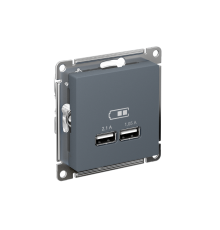 AtlasDesign Грифель Розетка USB, 5В, 1 порт x 2,1 А, 2 порта х 1,05 А, механизм  ATN000733  SE