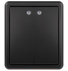 Выключатель Эксперт 11-1205-05 двойной с подсветкой IP20 10АХ-250В ОУ Антрацит  Б0063021  ЭРА