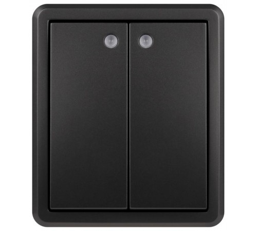 Выключатель Эксперт 11-1205-05 двойной с подсветкой IP20 10АХ-250В ОУ Антрацит  Б0063021  ЭРА