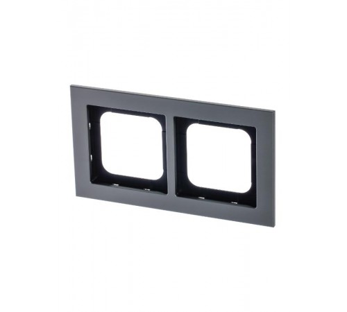 Рамка 2-постовая, Axcent, металл, платина  2CKA001754A4689  ABB