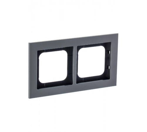 Рамка 2-постовая, Axcent, металл, платина  2CKA001754A4689  ABB