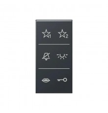 Audio дизайнерская накладка                     SIA6ADCANM Jung