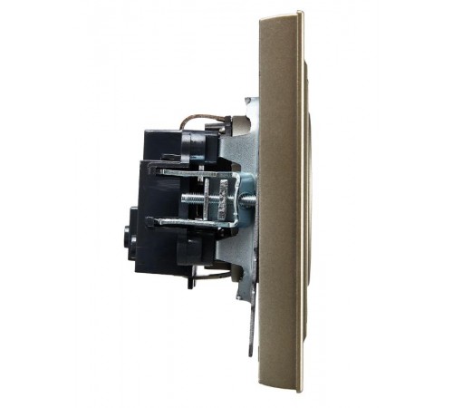 BRITE Розетка без заземления без шторок10А в сборе РСР10-1-0-БрШ шампань  BR-R10-10-K37-F  IEK