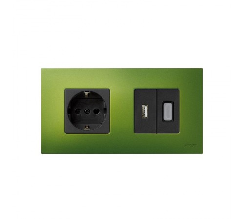 Simon 27 Накладка декоративная на рамку базовую, 2 поста, S27 Play, Arctic, зелёный  2700627-084  Simon