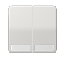 Клавиши для сдвоенных выключателей и кнопок с полем для надписи; светло-серые  CD595NALG  Jung