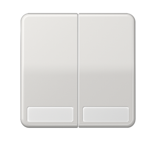 Клавиши для сдвоенных выключателей и кнопок с полем для надписи; светло-серые  CD595NALG  Jung