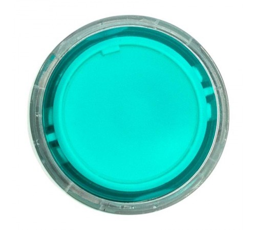 Механизм исполнительный кнопки XB4 зеленый плоский возвратный без фиксации, с подсветкой IP65  XB4BW-G-65  EKF