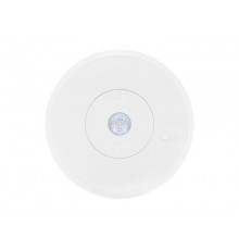 Указатель аварийный светодиодный ORBIT 6500-2 LED 2Вт 1ч IP65 централизованный накладной  4502003810  Световые Технологии